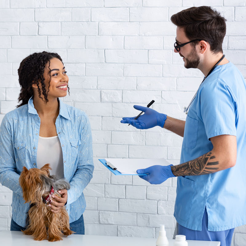 african-american-woman-with-pet-on-visit-to-veteri-2021-08-28-05-25-04-utc-2.jpg