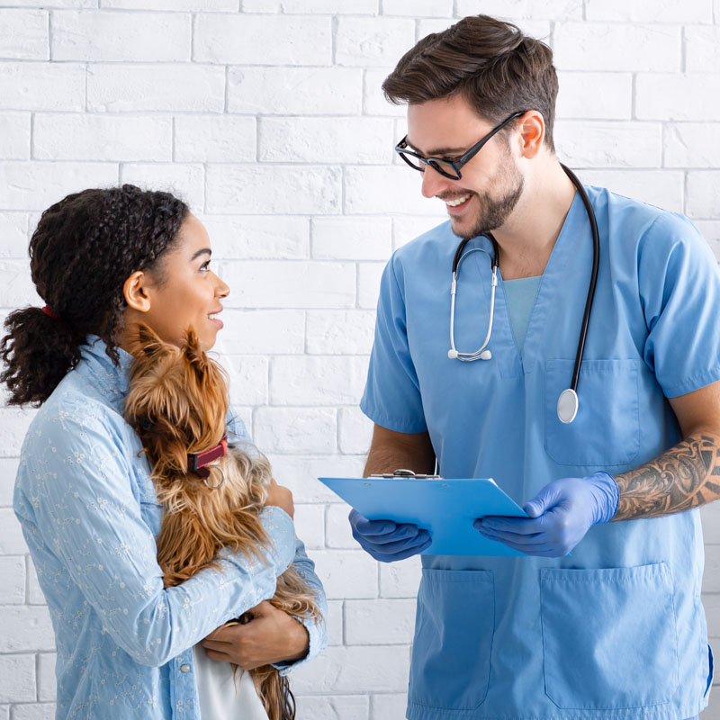 annual-veterinary-checkup-young-doctor-talking-to-2021-08-29-04-54-42-utc-1.jpg