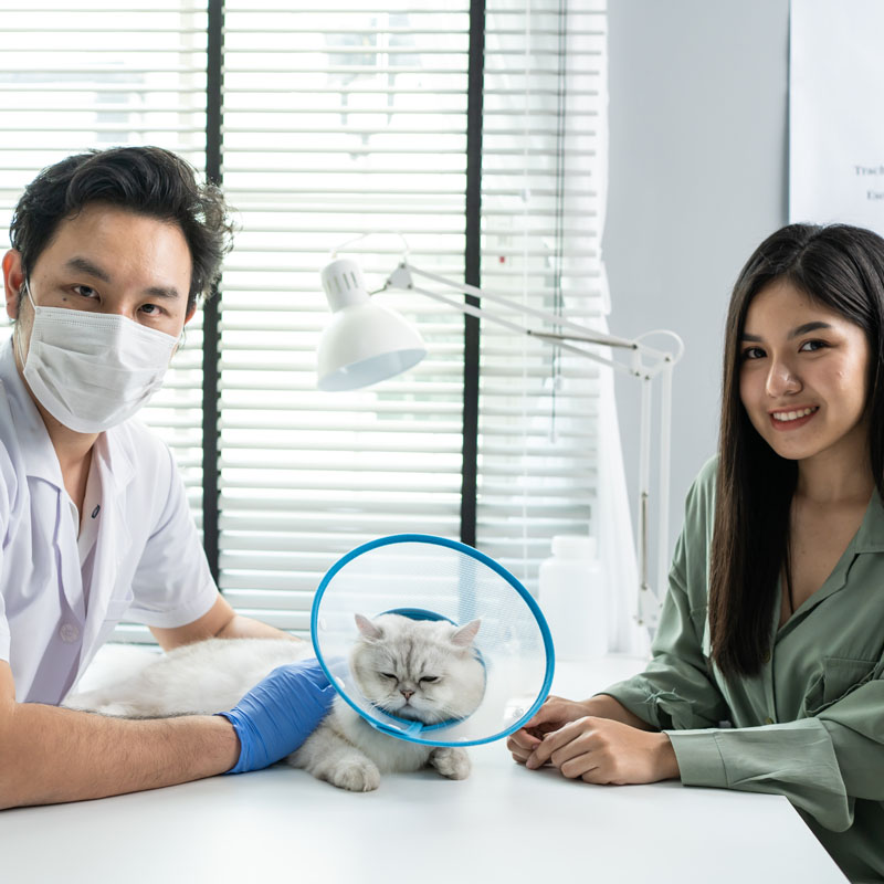 portrait-of-asian-veterinarian-male-examine-cat-in-2021-12-10-16-50-47-utc-1.jpg